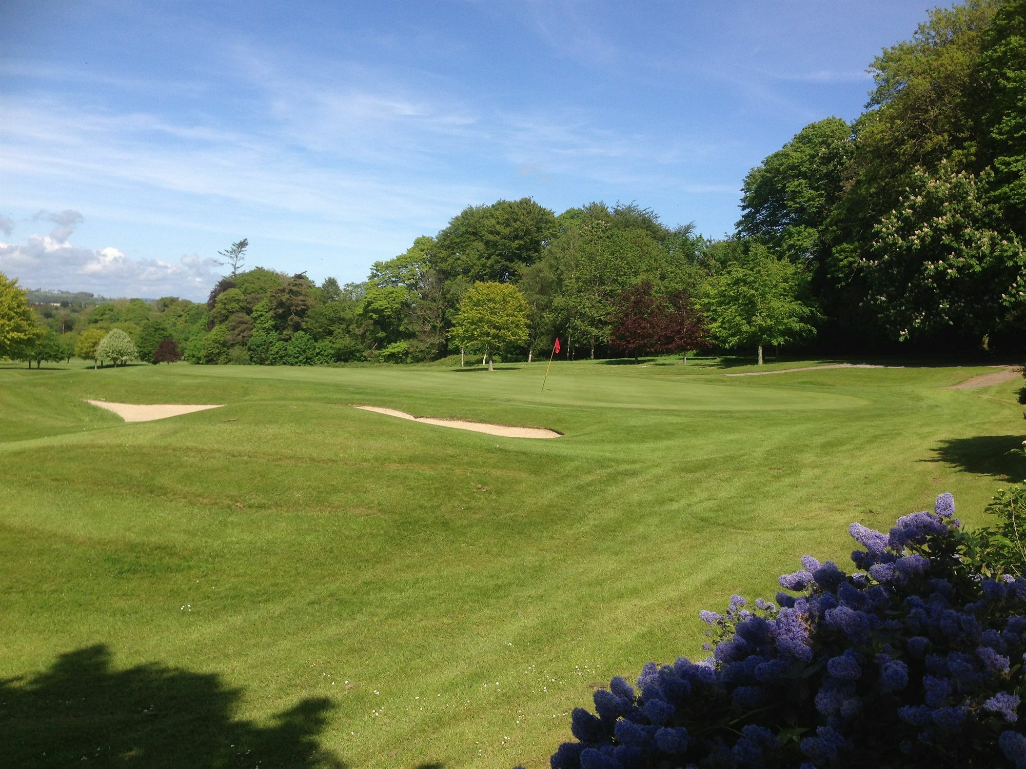 Waterford Castle Hotel & Golf Resort Ballinakill  Exterior photo